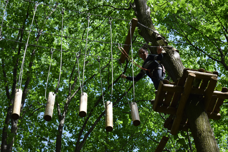 trasee-copaci_bucuresti