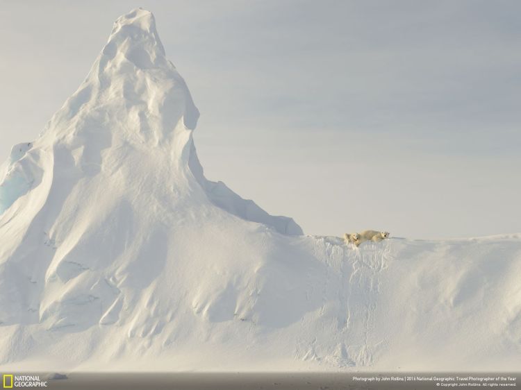 Bears on a Berg