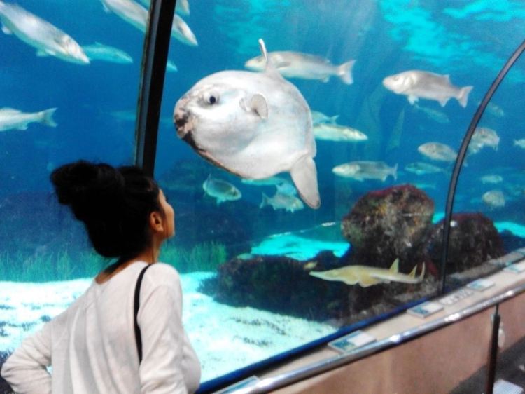 L'aquarium de Barcelona