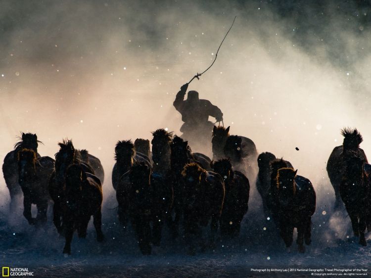 Winter Horseman