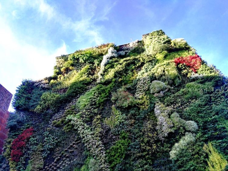 green-wall_madrid_caixa-forum