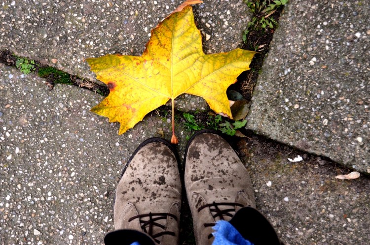Autumn_shoes_leaf.jpg