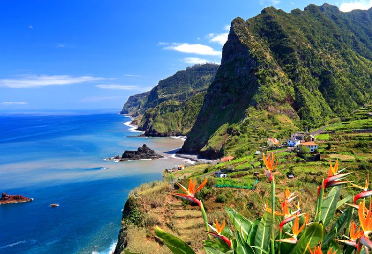 madeira travel.jpg