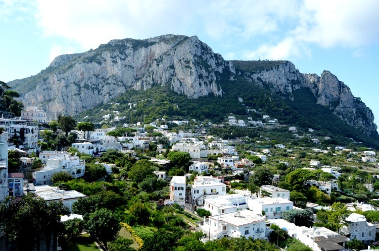 capri-island-view_houses