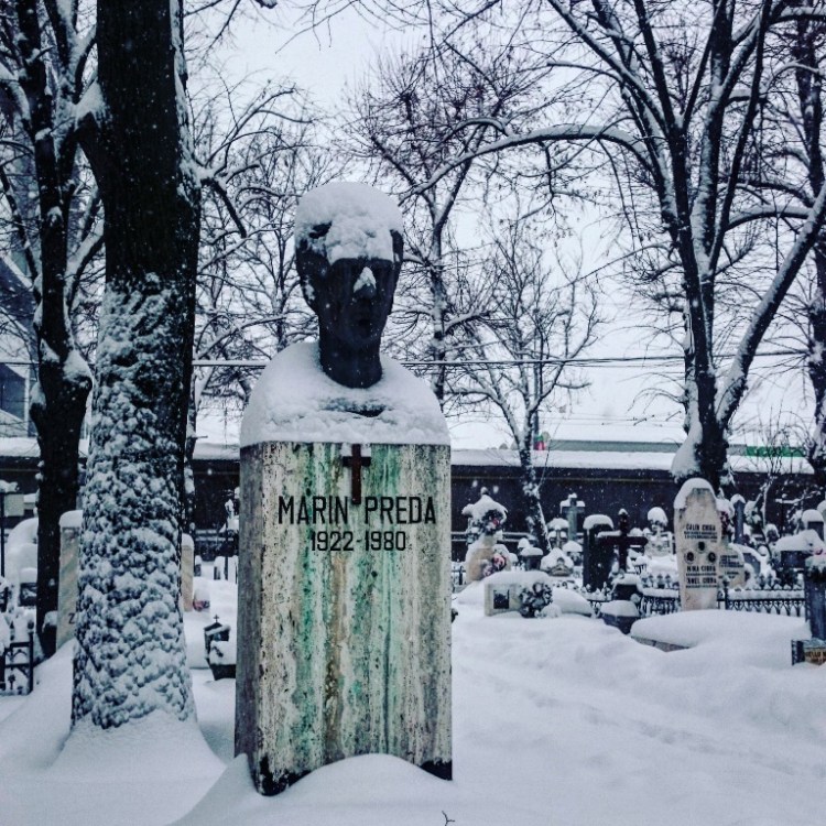 marin-preda-cimitirul-bellu