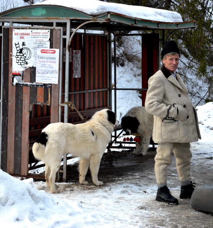 dogs_tradition_romania