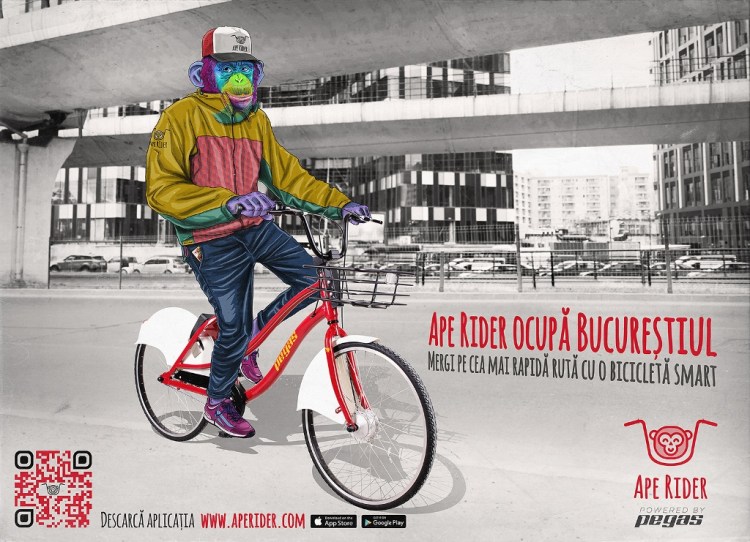 Ape rider_Bucuresti